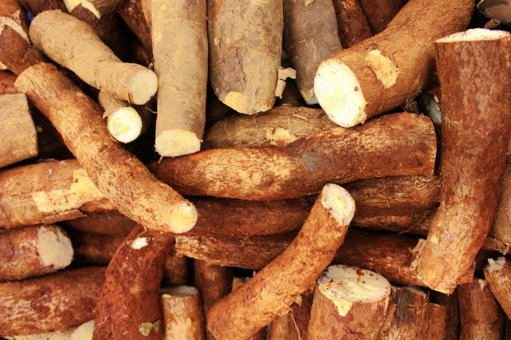 Proposal for Cassava Plantation Farming in Nigeria